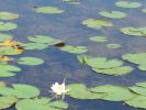 PICTURES/Everglades Air-Boat Ride/t_IMG_8983.JPG